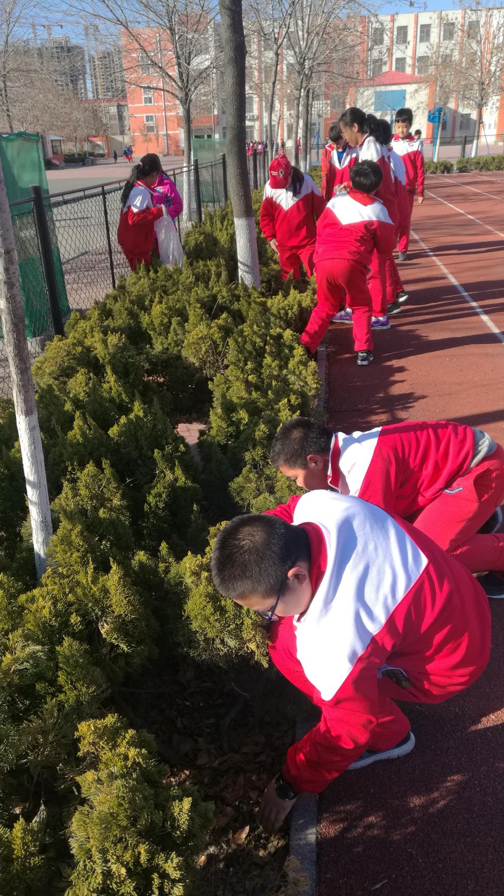 关于森林狼队球员在社区开展志愿者活动服务居民的信息